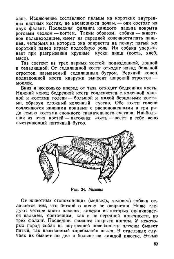 Александр Мазовер - Служебное собаководство - Страница № 54
