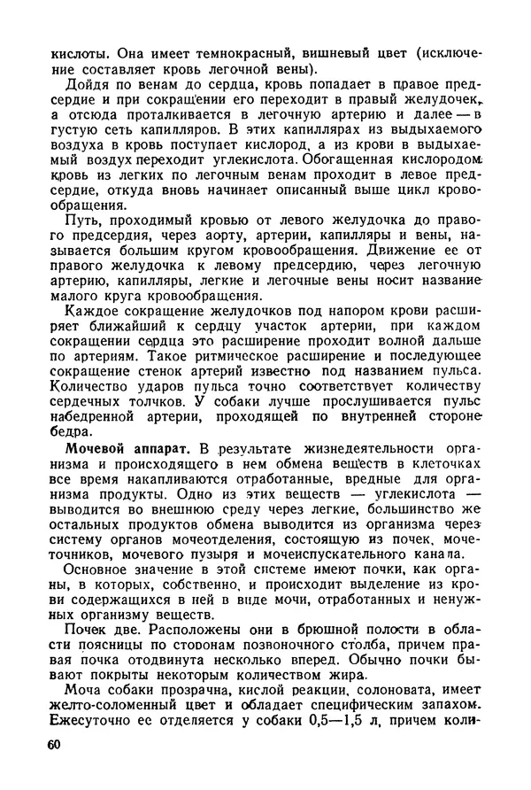 Александр Мазовер - Служебное собаководство - Страница № 61