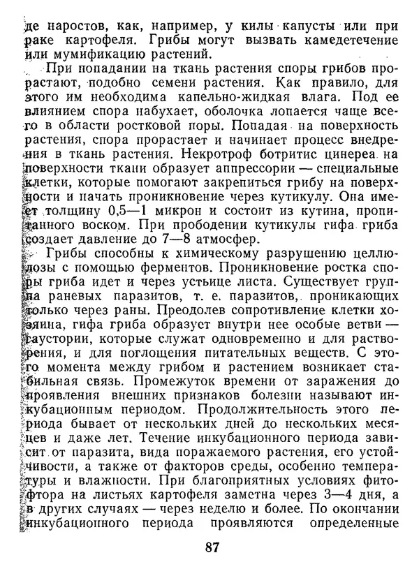 Нина Черепанова - Грибы - Страница № 105