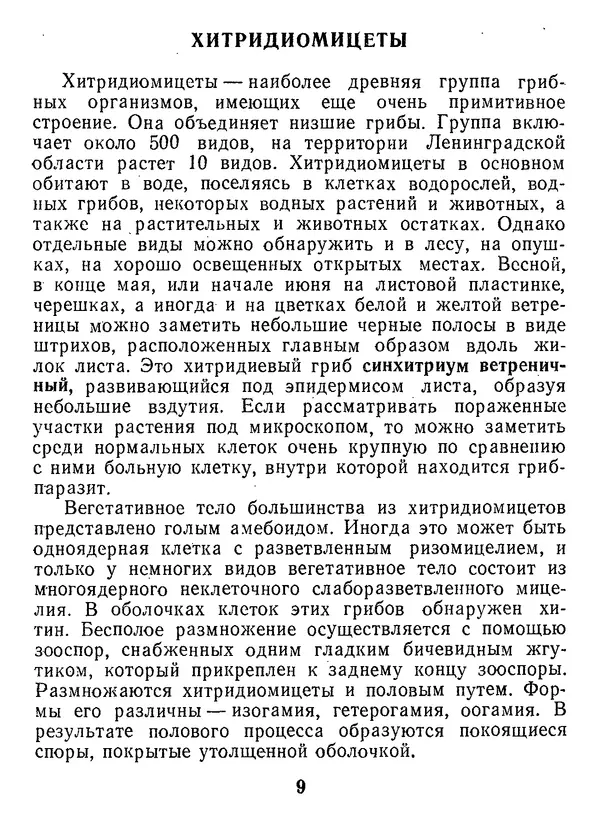 Нина Черепанова - Грибы - Страница № 11