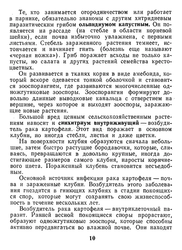 Нина Черепанова - Грибы - Страница № 12