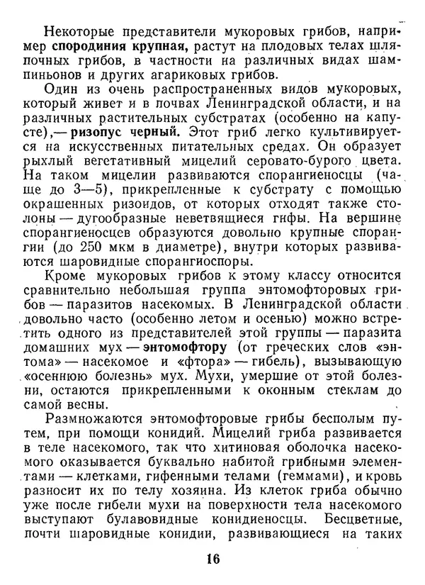 Нина Черепанова - Грибы - Страница № 18