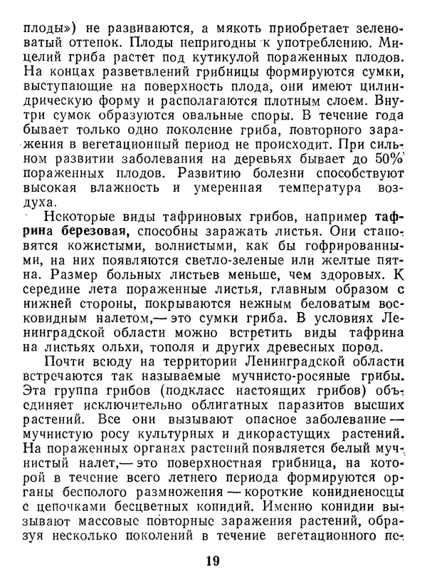 Нина Черепанова - Грибы - Страница № 21