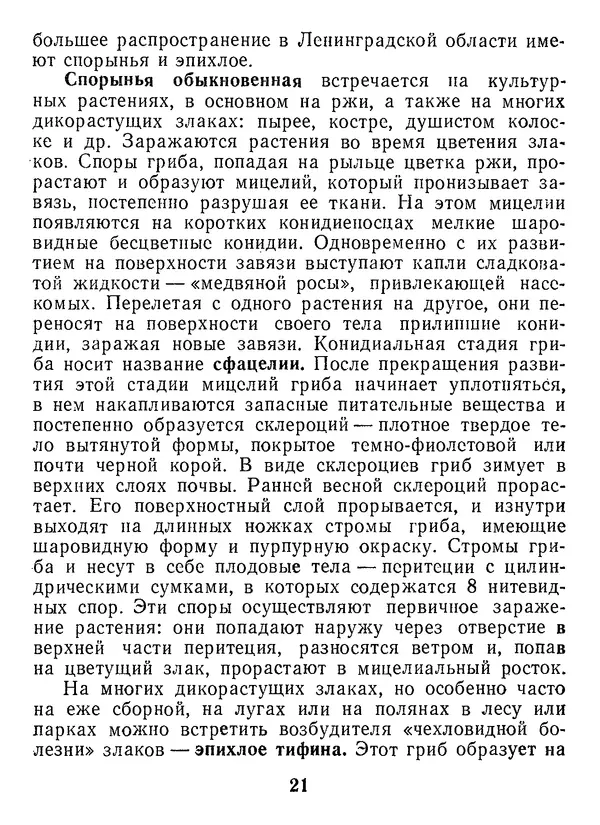 Нина Черепанова - Грибы - Страница № 23