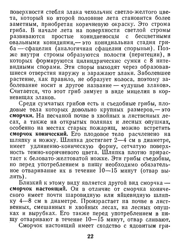 Нина Черепанова - Грибы - Страница № 24