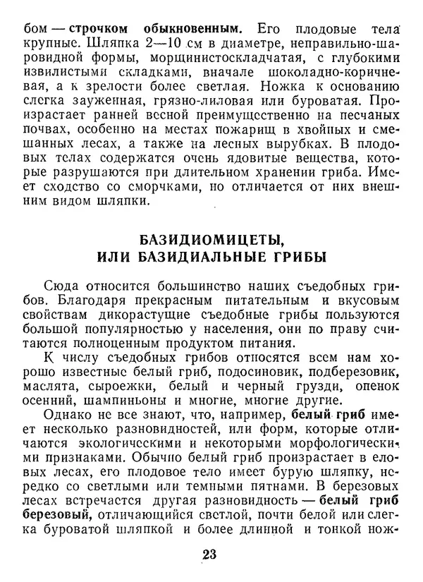 Нина Черепанова - Грибы - Страница № 25