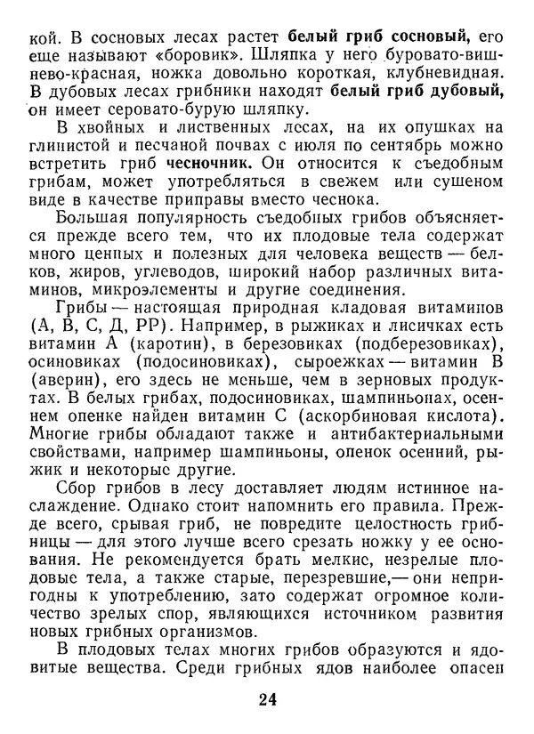 Нина Черепанова - Грибы - Страница № 26