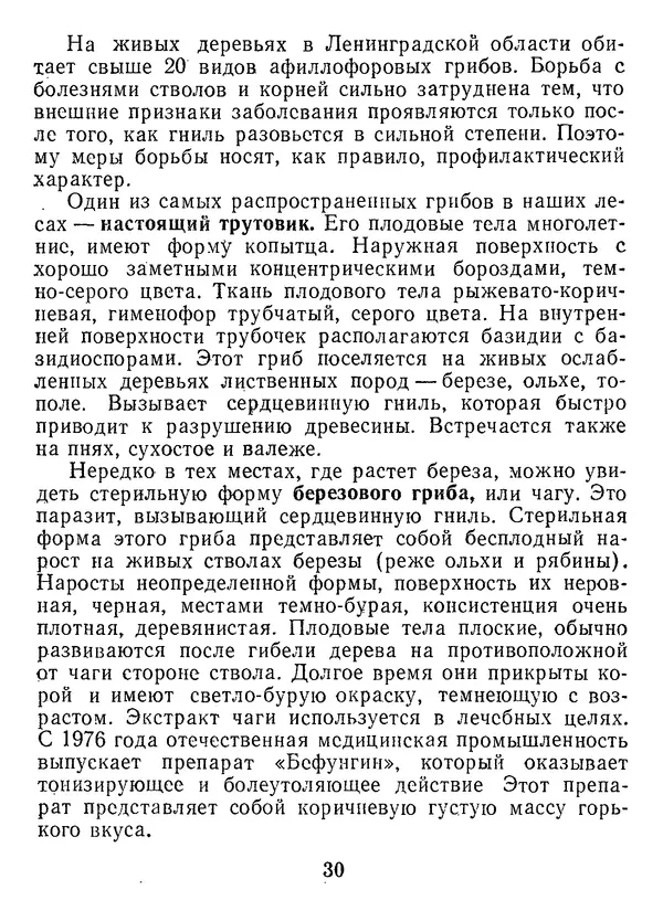 Нина Черепанова - Грибы - Страница № 32