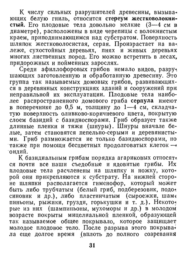 Нина Черепанова - Грибы - Страница № 33