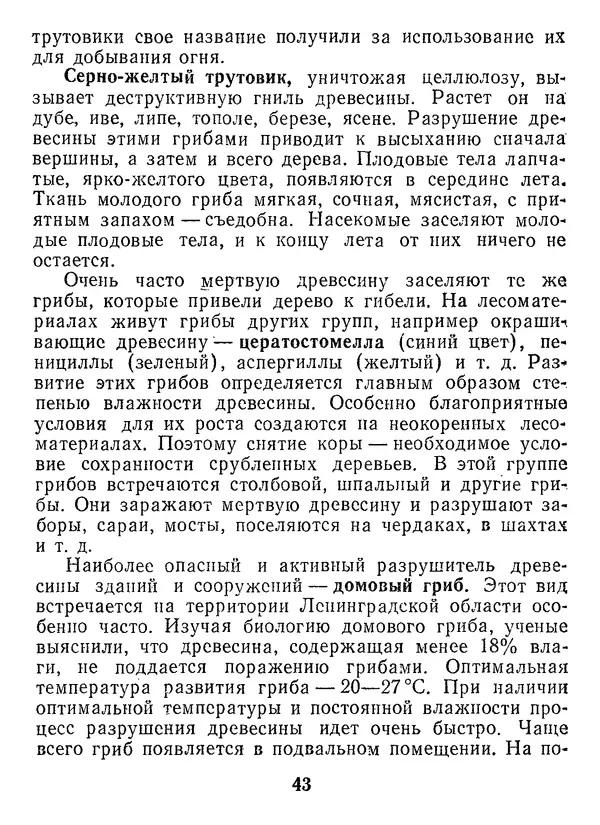 Нина Черепанова - Грибы - Страница № 45