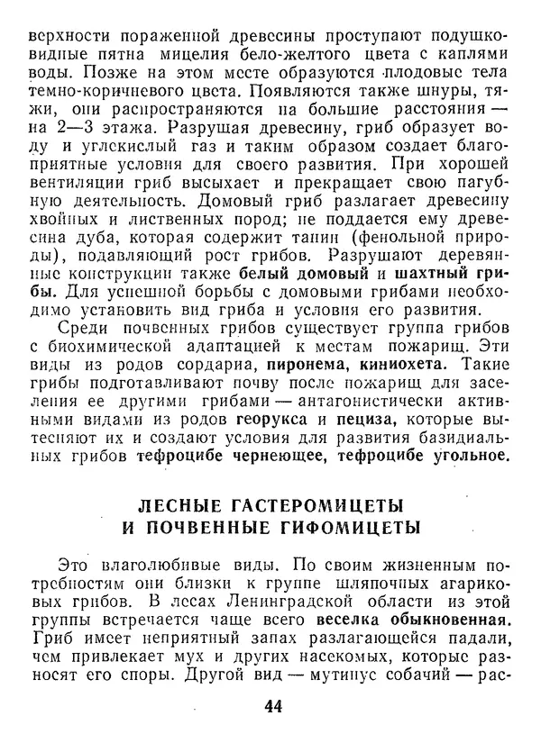 Нина Черепанова - Грибы - Страница № 46