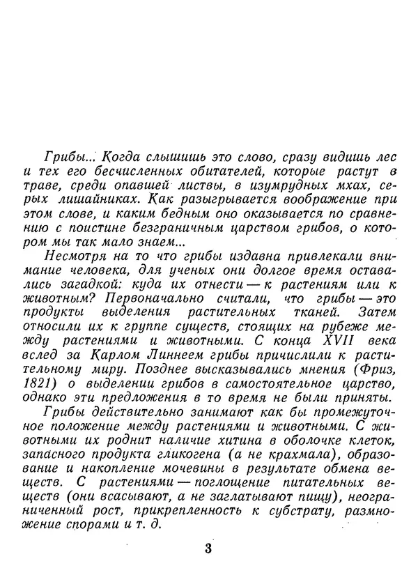 Нина Черепанова - Грибы - Страница № 5