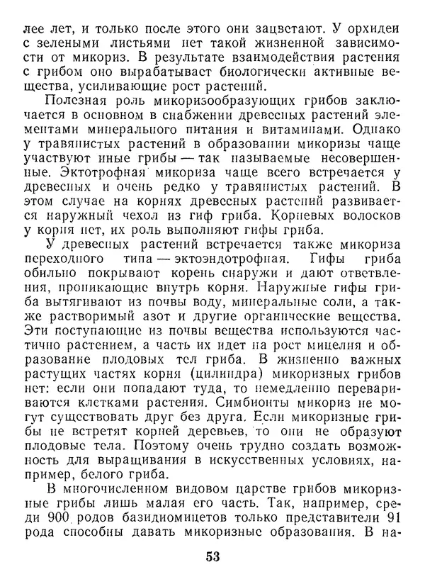 Нина Черепанова - Грибы - Страница № 71