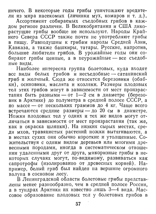 Нина Черепанова - Грибы - Страница № 75