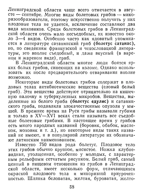 Нина Черепанова - Грибы - Страница № 76