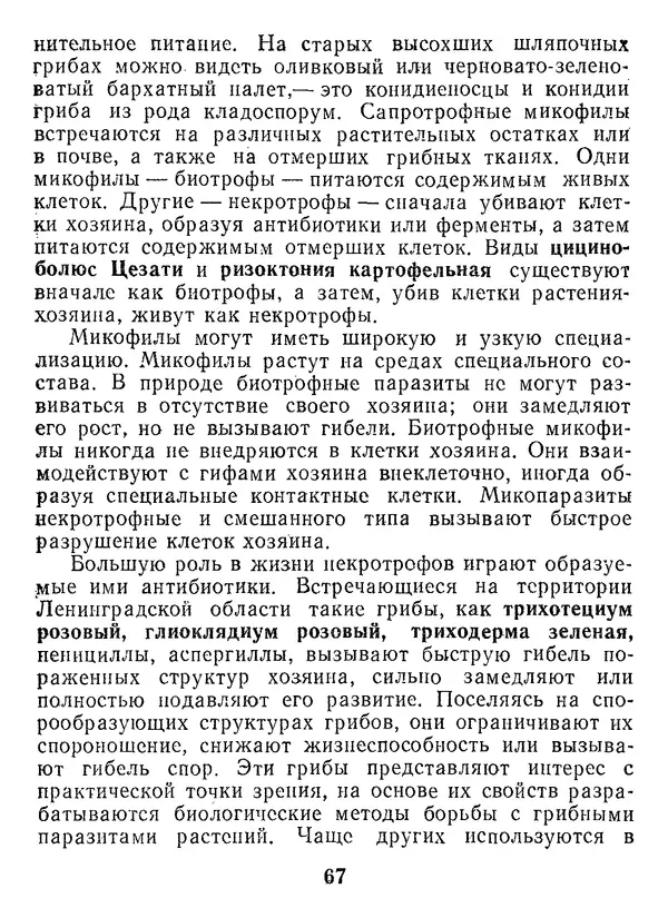 Нина Черепанова - Грибы - Страница № 85