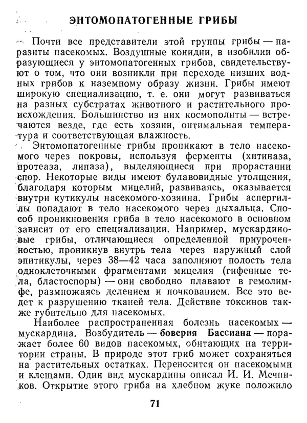 Нина Черепанова - Грибы - Страница № 89