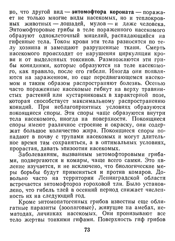 Нина Черепанова - Грибы - Страница № 91