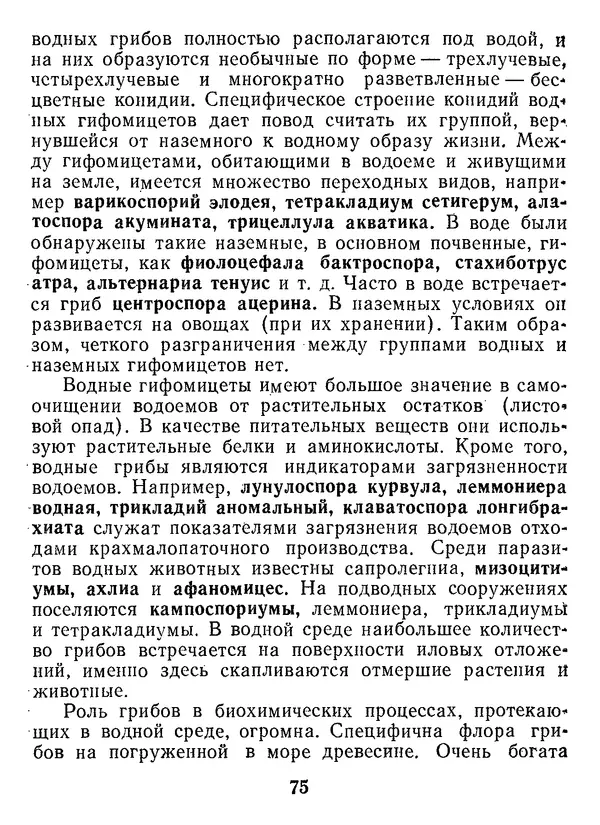 Нина Черепанова - Грибы - Страница № 93