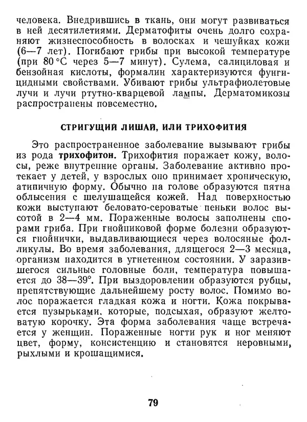 Нина Черепанова - Грибы - Страница № 97