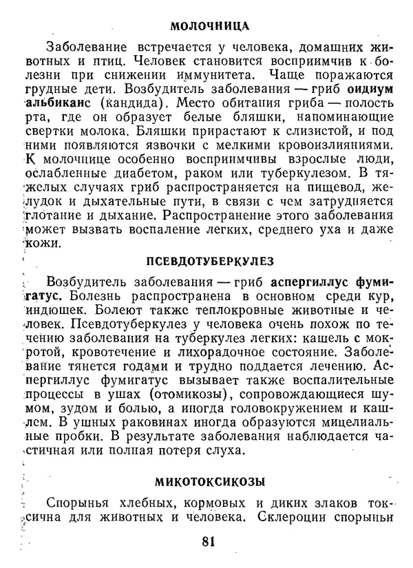 Нина Черепанова - Грибы - Страница № 99