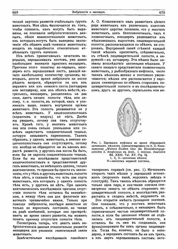  журнал «Природа» - Природа 1915 №5 - Страница № 21