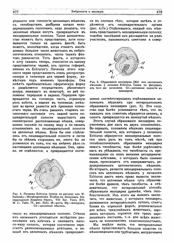  журнал «Природа» - Природа 1915 №5 - Страница № 25