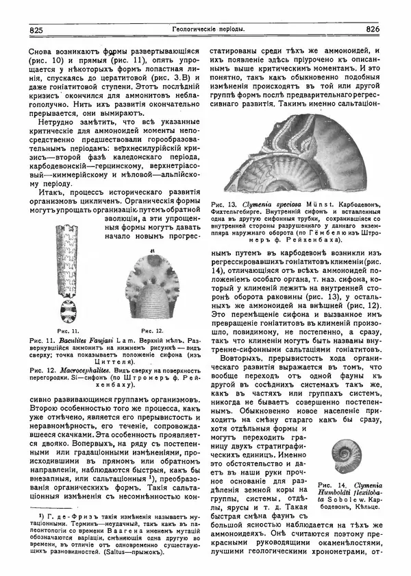  журнал «Природа» - Природа 1915 №6 - Страница № 31
