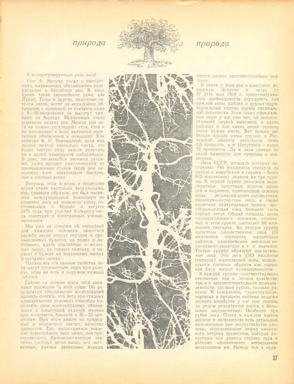  журнал «Семья и школа» - Семья и школа 1970 №12 - Страница № 41