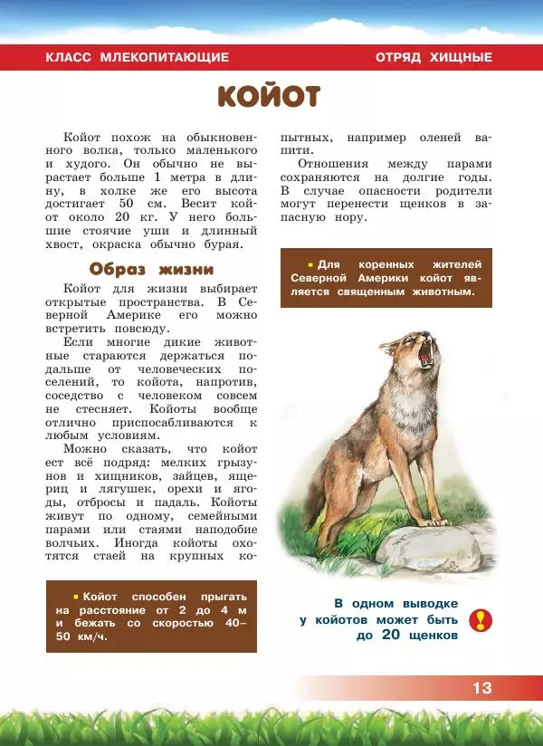 Сергей Рублев - Животные Северной Америки - Страница № 14