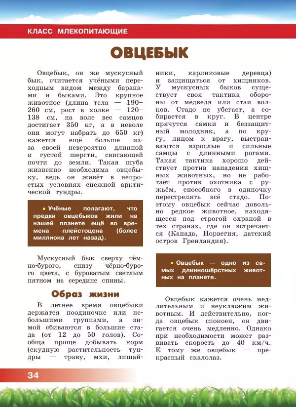 Сергей Рублев - Животные Северной Америки - Страница № 35