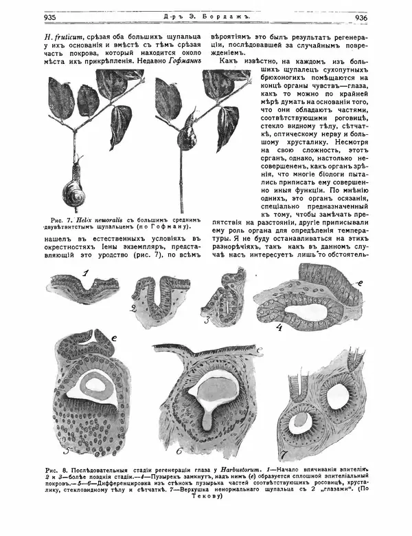  журнал «Природа» - Природа 1912 №7-8 - Страница № 46