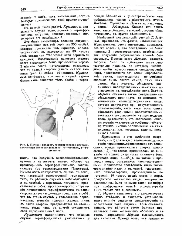  журнал «Природа» - Природа 1912 №7-8 - Страница № 53