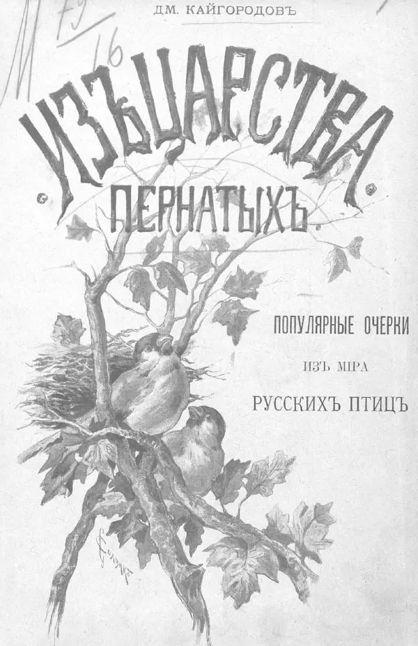 Дмитрий Кайгородов - Изъ царства пернатыхъ - Страница № 1