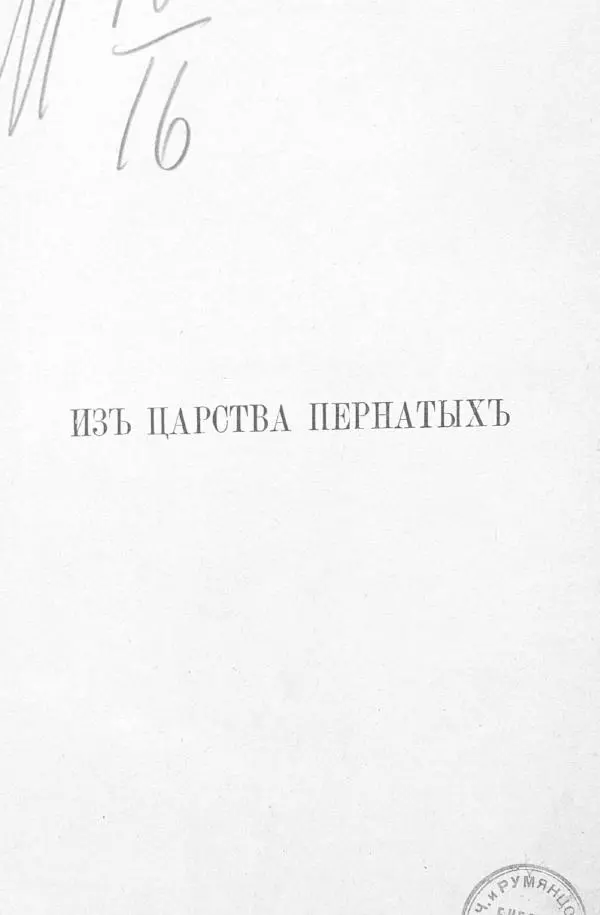 Дмитрий Кайгородов - Изъ царства пернатыхъ - Страница № 2