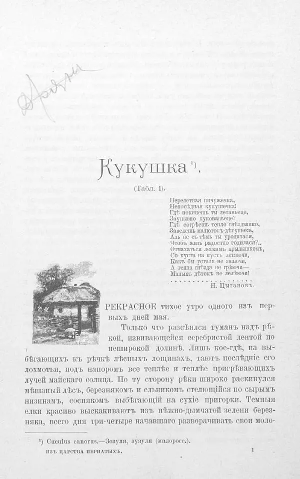 Дмитрий Кайгородов - Изъ царства пернатыхъ - Страница № 19