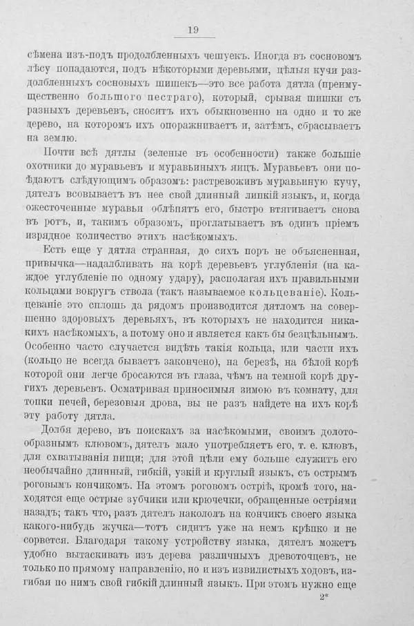 Дмитрий Кайгородов - Изъ царства пернатыхъ - Страница № 38