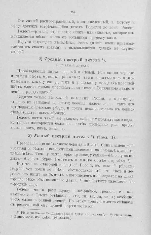 Дмитрий Кайгородов - Изъ царства пернатыхъ - Страница № 43