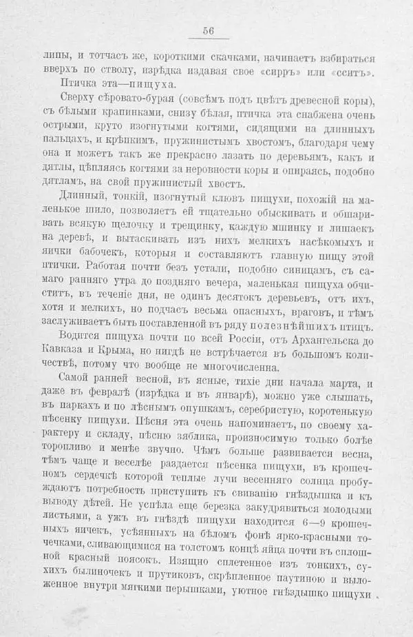 Дмитрий Кайгородов - Изъ царства пернатыхъ - Страница № 76
