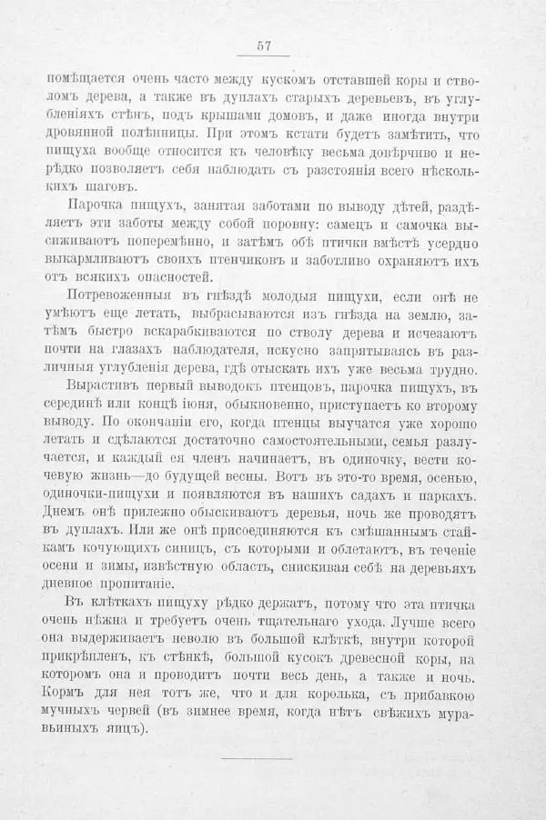 Дмитрий Кайгородов - Изъ царства пернатыхъ - Страница № 77