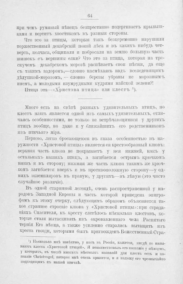 Дмитрий Кайгородов - Изъ царства пернатыхъ - Страница № 85