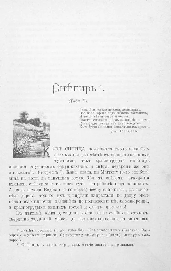 Дмитрий Кайгородов - Изъ царства пернатыхъ - Страница № 94