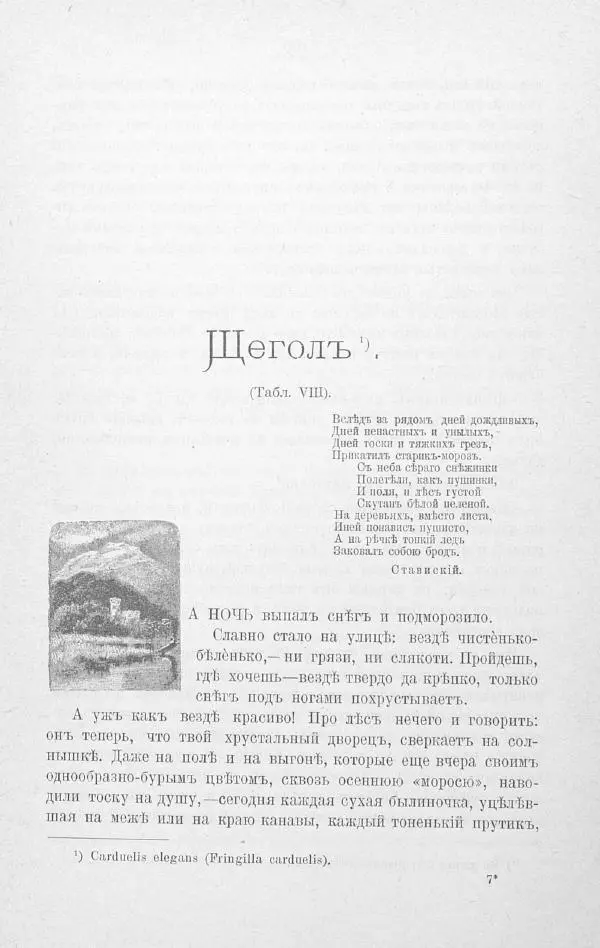 Дмитрий Кайгородов - Изъ царства пернатыхъ - Страница № 122