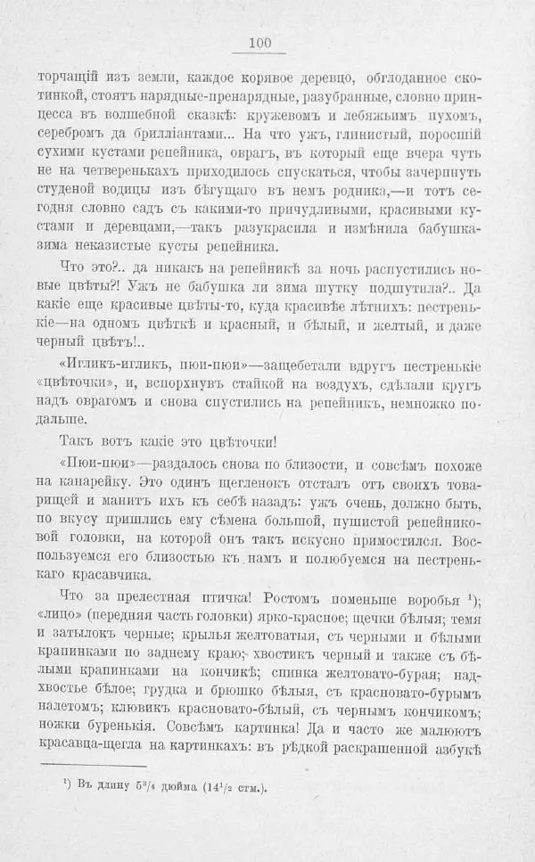 Дмитрий Кайгородов - Изъ царства пернатыхъ - Страница № 123