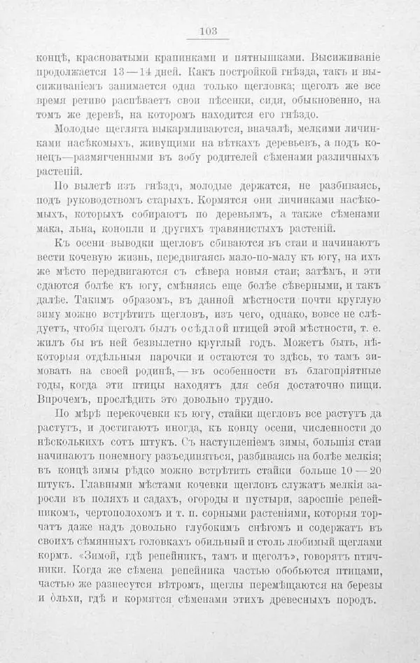 Дмитрий Кайгородов - Изъ царства пернатыхъ - Страница № 126