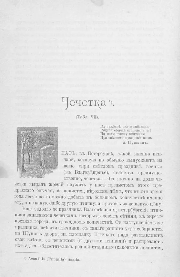 Дмитрий Кайгородов - Изъ царства пернатыхъ - Страница № 134