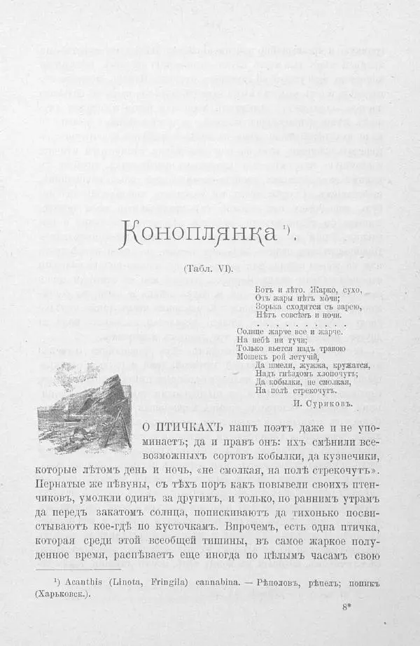 Дмитрий Кайгородов - Изъ царства пернатыхъ - Страница № 139