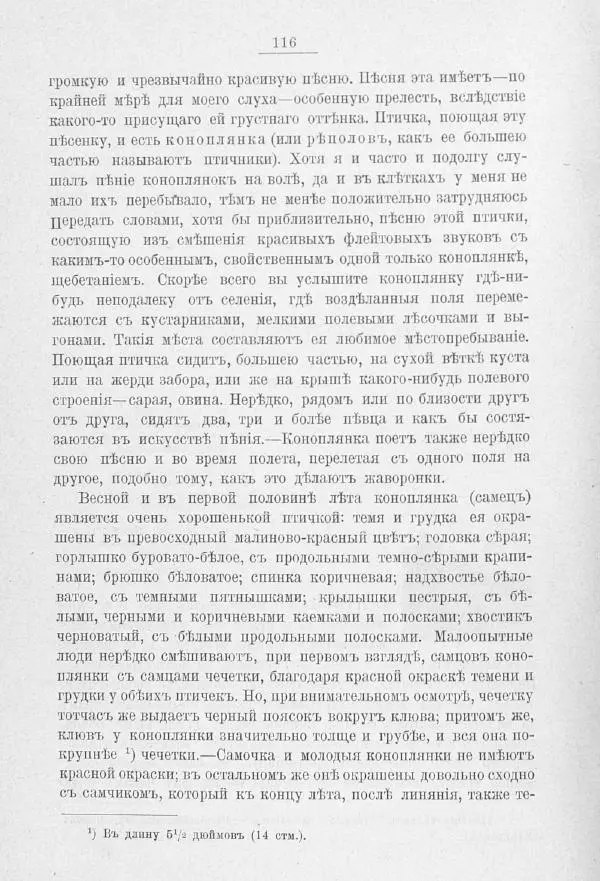Дмитрий Кайгородов - Изъ царства пернатыхъ - Страница № 140
