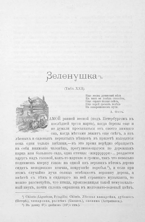 Дмитрий Кайгородов - Изъ царства пернатыхъ - Страница № 143