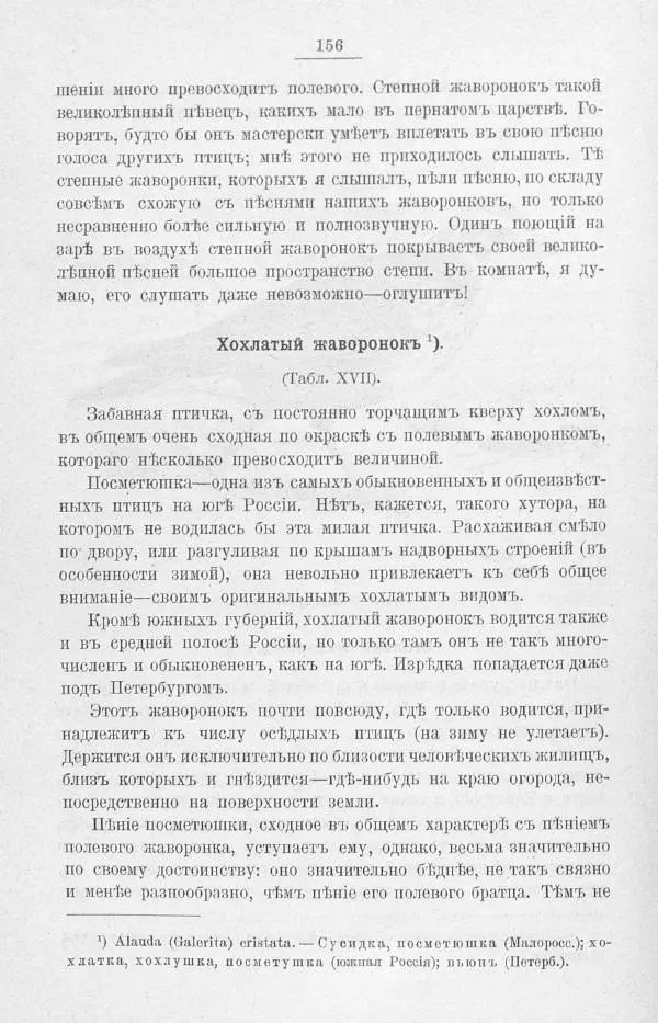 Дмитрий Кайгородов - Изъ царства пернатыхъ - Страница № 181